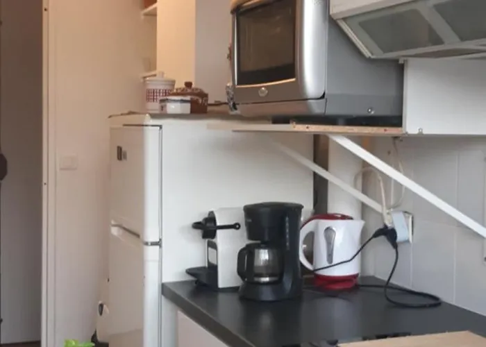 Homestay Pour 4 Chez Rihani Pres De La Tour Eiffel Paris